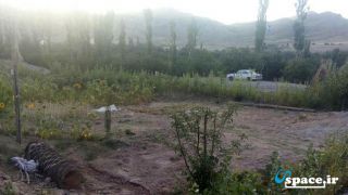 محوطه سرسبز اقامتگاه بوم گردی دوکوهه - جیرفت - روستای دره رود